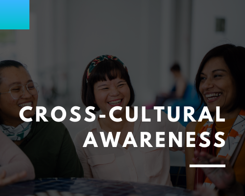 Cross-cultural Awareness