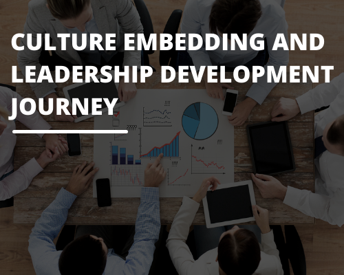 image with text 'culture embedding and leadership development journey